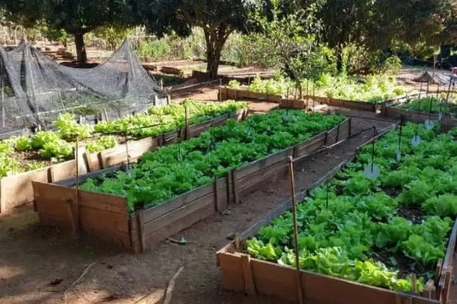 Design sem nome (11)