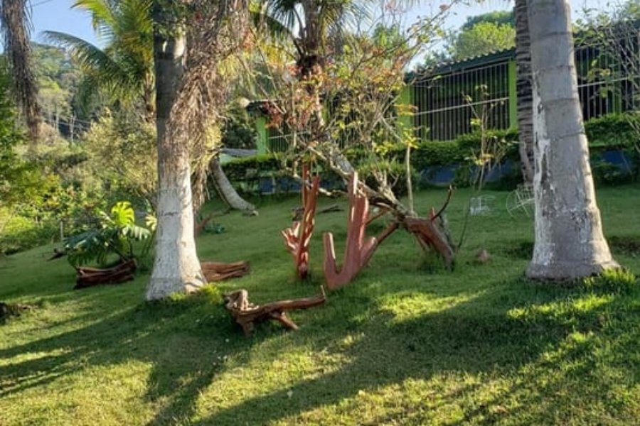 Design sem nome (12)