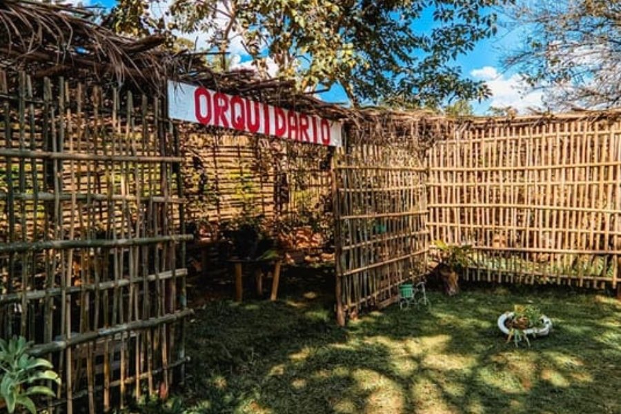 Design sem nome (15)