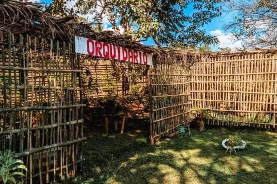 Design sem nome (15)