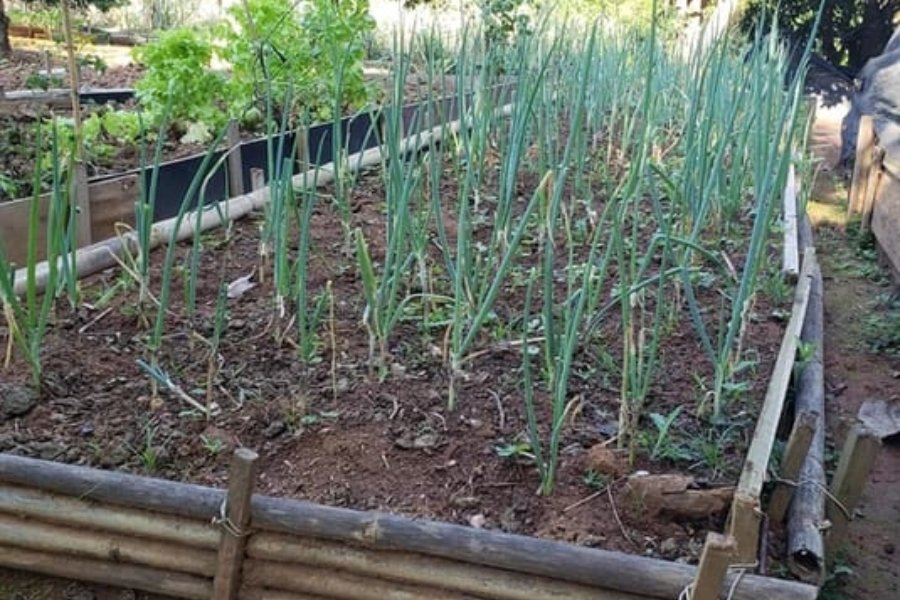 Design sem nome (16)