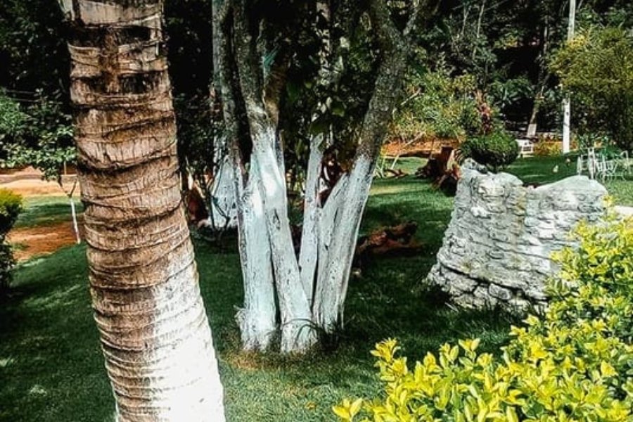 Design sem nome (19)