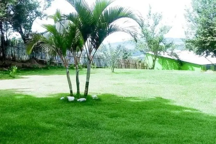 Design sem nome (22)