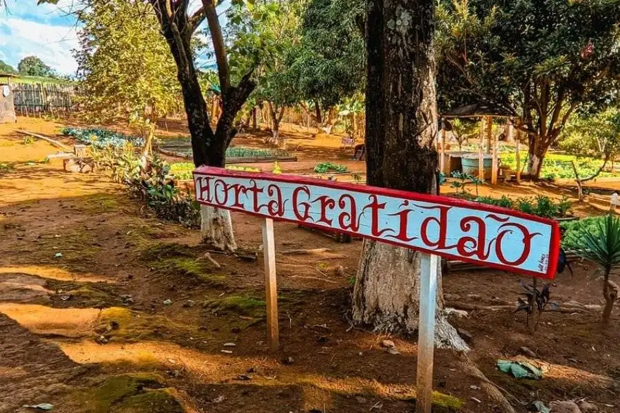 Design sem nome (23)