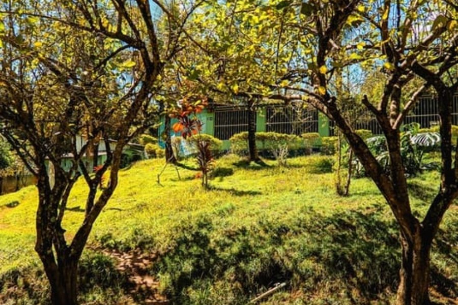 Design sem nome (28)