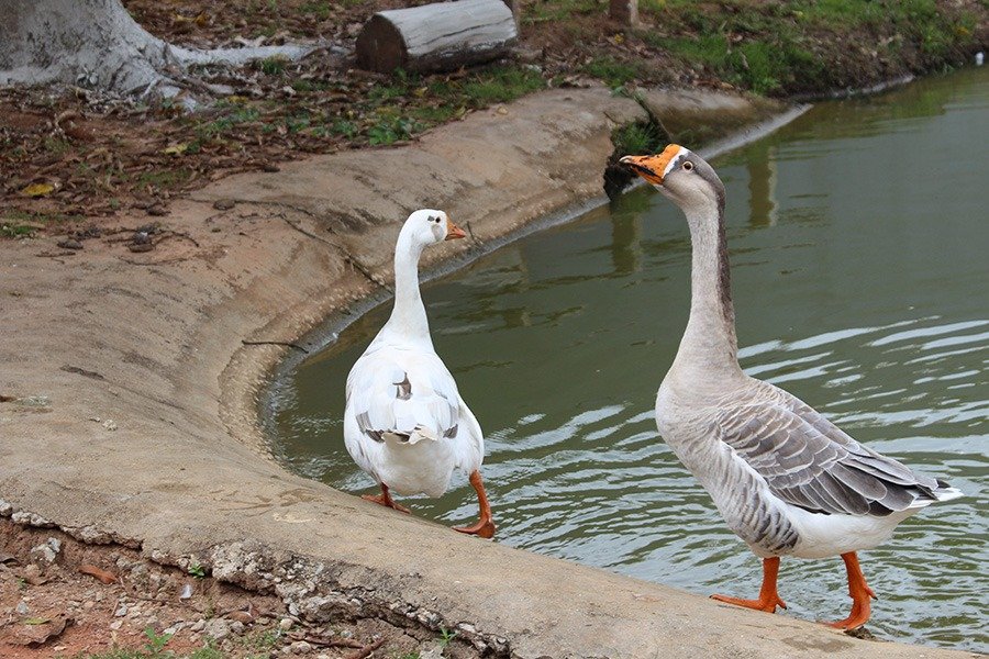 WhatsApp Image 2024-04-16 at 20.43.56