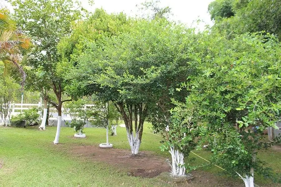 WhatsApp Image 2024-04-16 at 20.43.58 (1)