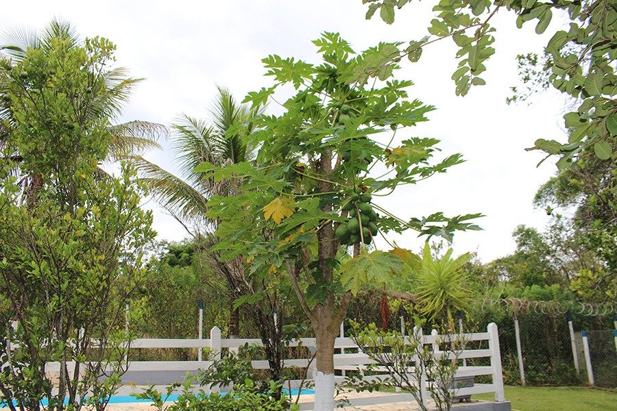 WhatsApp Image 2024-04-16 at 20.44.03 (1)