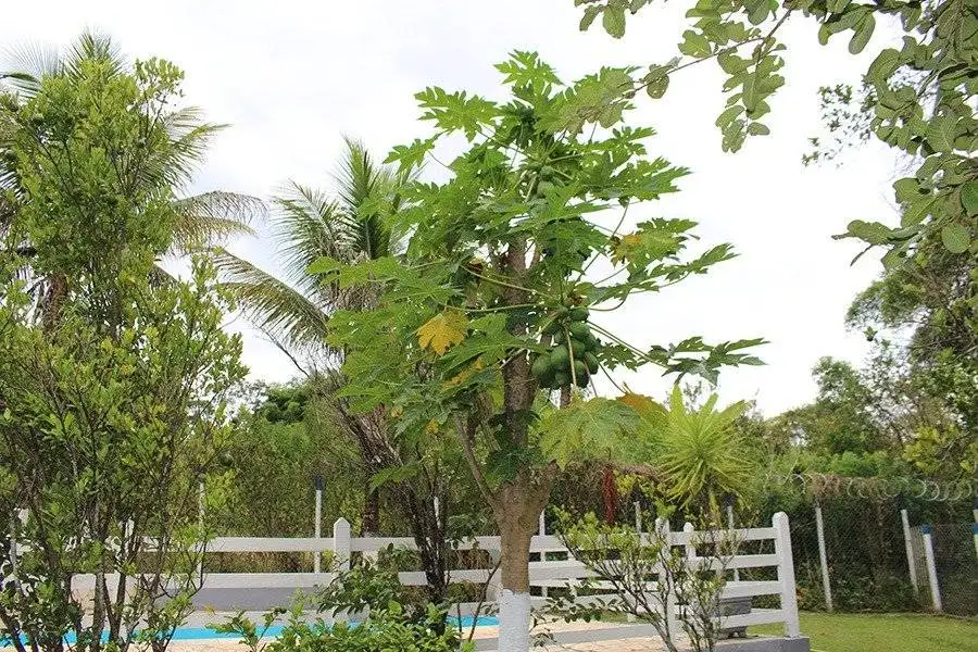 WhatsApp Image 2024-04-16 at 20.44.03 (1)