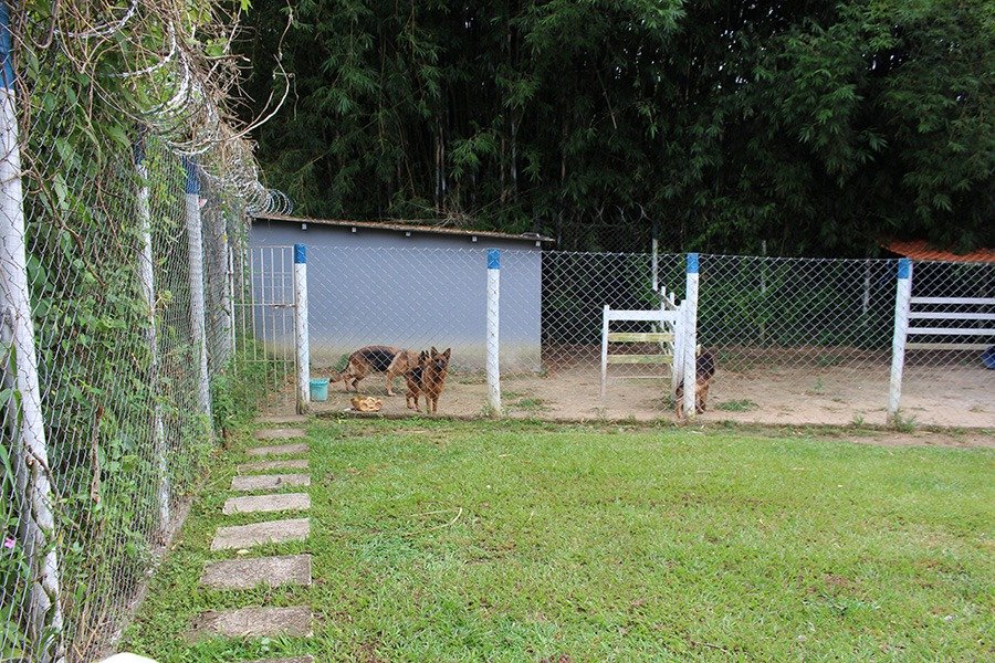 WhatsApp Image 2024-04-16 at 20.44.06